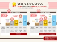 【美少女フィギュア】「ネイティブストア」本日リニューアル！の画像