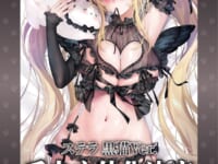 【Xin氏イラスト】Novel Stella「ステラ 黒猫Ver.」美少女フィギュア化決定の画像